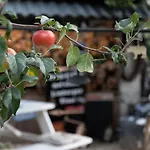 Den Oude Bed & Breakfast Hulsberg
