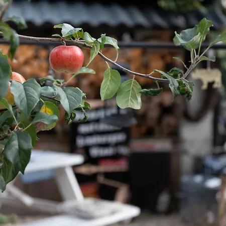Den Oude 住宿加早餐酒店 Hulsberg