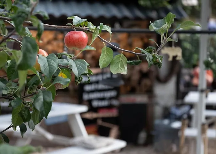 Den Oude Oda ve Kahvaltı Hulsberg